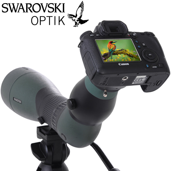 스와로브스키 TLS APO 43mm 카메라 어댑터 ATS STS